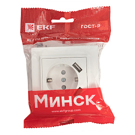 Розетка одинарная с 2 USB Минск скрытой установки с заземлением 16А+2,1А+2,1А со шторками в сборе белый ERR16-028-100-2 USB EKF Розетка одинарная с 2 USB Минск скрытой установки с заземлением 16А+2,1А+2,1А со шторками в сборе белый ERR16-028-100-2 USB EKF