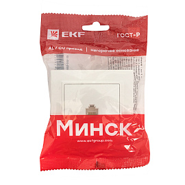 Розетка RJ45 компьютерная Минск скрытой установки в сборе белый ERK01-035-10 EKF Розетка RJ45 компьютерная Минск скрытой установки в сборе белый ERK01-035-10 EKF
