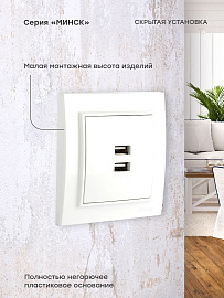 Розетка 2 USB Минск скрытой установки 2,1А+2,1А в сборе белый ERR-2 USB-100 EKF Розетка 2 USB Минск скрытой установки 2,1А+2,1А в сборе белый ERR-2 USB-100 EKF