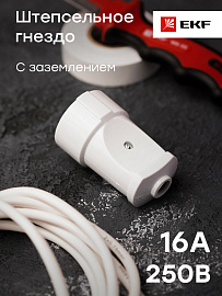 Гнездо штепсельное  с заземлением белое 16А 250В (ASG16-10)  EKF Гнездо штепсельное  с заземлением белое 16А 250В (ASG16-10)  EKF