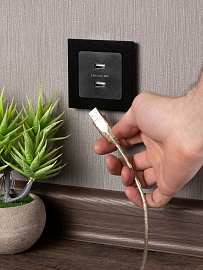 Розетка 2 USB Стокгольм скрытой установки 2,1А+2,1А механизм черный EZR16-028-10-2USB EKF PROxima Розетка 2 USB Стокгольм скрытой установки 2,1А+2,1А механизм черный EZR16-028-10-2USB EKF PROxima