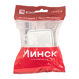 Выключатель одноклавишный Минск открытой установки 10А белый EGV10-021-10 EKF Выключатель одноклавишный Минск открытой установки 10А белый EGV10-021-10 EKF