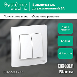 Выключатель двухклавишный BLANCA скрытой установки 6А 250В (cх.5) механизм с накл белый BLNVS006501 Systeme Electric Выключатель двухклавишный BLANCA скрытой установки 6А 250В (cх.5) механизм с накл белый BLNVS006501 Systeme Electric