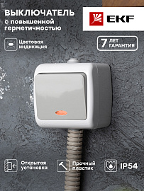 Выключатель одноклавишный Мурманск открытой установки IP54 с индикацией 10А серый EFV10-121-30-54 EKF PROxima Выключатель одноклавишный Мурманск открытой установки IP54 с индикацией 10А серый EFV10-121-30-54 EKF PROxima