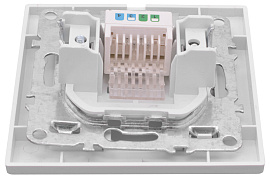 Розетка RJ45 компьютерная Минск скрытой установки в сборе белый ERK01-035-10 EKF Розетка RJ45 компьютерная Минск скрытой установки в сборе белый ERK01-035-10 EKF
