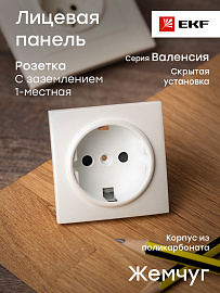 Лицевая панель для розетки одинарной Валенсия с заземлением со шторками 16А жемчуг ESR16-L-028-50 EKF PROxima Лицевая панель для розетки одинарной Валенсия с заземлением со шторками 16А жемчуг ESR16-L-028-50 EKF PROxima