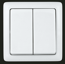 Выключатель двухклавишный открытой установки ВА56-232/VA56-232-B Wessen ХИТ Schneider Electric Выключатель двухклавишный открытой установки ВА56-232/VA56-232-B Wessen ХИТ Schneider Electric