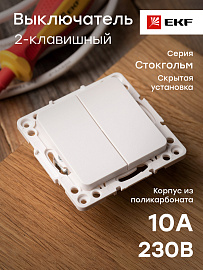 Выключатель двухклавишный Стокгольм скрытой установки 10А (сх.5) механизм белый EYV10-123-10 EKF PROxima Выключатель двухклавишный Стокгольм скрытой установки 10А (сх.5) механизм белый EYV10-123-10 EKF PROxima