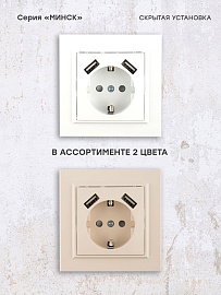 Розетка одинарная с 2 USB Минск скрытой установки с заземлением 16А+2,1А+2,1А со шторками в сборе белый ERR16-028-100-2 USB EKF Розетка одинарная с 2 USB Минск скрытой установки с заземлением 16А+2,1А+2,1А со шторками в сборе белый ERR16-028-100-2 USB EKF