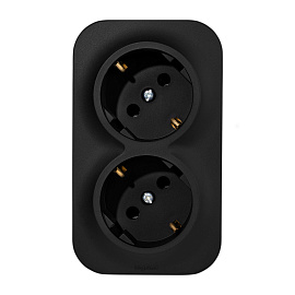 Блок розеточный 2-й QUTEO открытой установки с/з без шторок 16А 250В черный IP20 782470 Legrand Блок розеточный 2-й QUTEO открытой установки с/з без шторок 16А 250В черный IP20 782470 Legrand