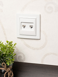 Розетка RJ45+RJ11 компьютерная+телефонная Минск скрытой установки в сборе белый ERK00-135-10 EKF Розетка RJ45+RJ11 компьютерная+телефонная Минск скрытой установки в сборе белый ERK00-135-10 EKF