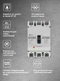 Выключатель автоматический ВА-99М 250/250А 3P 35кА  3П трехполюсный тип AC IP30  mccb99-250-250m EKF Выключатель автоматический ВА-99М 250/250А 3P 35кА  3П трехполюсный тип AC IP30  mccb99-250-250m EKF