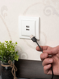 Розетка 2 USB Минск скрытой установки 2,1А+2,1А в сборе белый ERR-2 USB-100 EKF Розетка 2 USB Минск скрытой установки 2,1А+2,1А в сборе белый ERR-2 USB-100 EKF