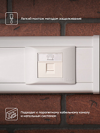 Розетка RJ11 (ширина 2 модуля) E2MT01-134-10 EKF Розетка RJ11 (ширина 2 модуля) E2MT01-134-10 EKF