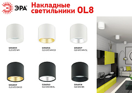 Светильник OL8 под лампу GX53 D96*80мм накладной белый металл 230В IP20 Б0048535 ЭРА Светильник OL8 под лампу GX53 D96*80мм накладной белый металл 230В IP20 Б0048535 ЭРА