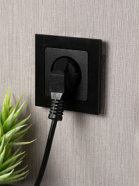 Розетка одинарная Стокгольм скрытой установки без заземления со шторками 10А механизм черный EZR10-022-10 EKF PROxima Розетка одинарная Стокгольм скрытой установки без заземления со шторками 10А механизм черный EZR10-022-10 EKF PROxima