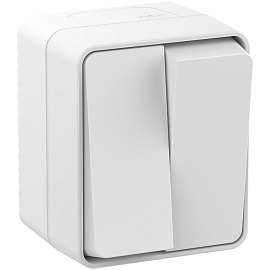 Выключатель двухклавишный AtlasDesign Profi54 открытой установки 10 АХ белый IP54  ATN540151 Systeme Electric Выключатель двухклавишный AtlasDesign Profi54 открытой установки 10 АХ белый IP54  ATN540151 Systeme Electric
