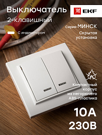 Выключатель двухклавишный Минск скрытой установки с индикацией 10А белый ERV10-123-10 EKF Выключатель двухклавишный Минск скрытой установки с индикацией 10А белый ERV10-123-10 EKF