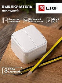 Выключатель двухклавишный Минск открытой установки 10А белый EGV10-023-10 EKF Выключатель двухклавишный Минск открытой установки 10А белый EGV10-023-10 EKF
