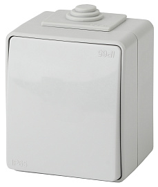 Переключатель открытой установки 1-клавишный 10А серый Эра Эксперт  ( 11-1603-03 ) Б0035975 ЭРА Переключатель открытой установки 1-клавишный 10А серый Эра Эксперт  ( 11-1603-03 ) Б0035975 ЭРА