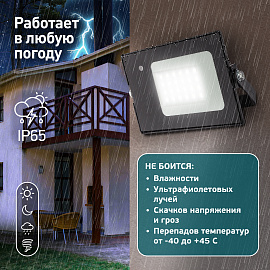 Прожектор светодиодный 20Вт LPR-041-1-65K-020 со встроенным микроволновым датчиком движния 6500К 1400Лм IP 65 Б0043574 ЭРА Прожектор светодиодный 20Вт LPR-041-1-65K-020 со встроенным микроволновым датчиком движния 6500К 1400Лм IP 65 Б0043574 ЭРА