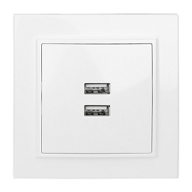 Розетка 2 USB Минск скрытой установки 2,1А+2,1А в сборе белый ERR-2 USB-100 EKF Розетка 2 USB Минск скрытой установки 2,1А+2,1А в сборе белый ERR-2 USB-100 EKF