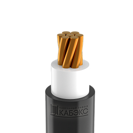 Кабель ВВГнг(A)-LS 1х25мк -0,66 Кабэкс Кабель ВВГнг(A)-LS 1х25мк -0,66 Кабэкс