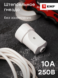 Гнездо штепсельное  без заземления белое 10А 250В (ASG10-10)  EKF Гнездо штепсельное  без заземления белое 10А 250В (ASG10-10)  EKF