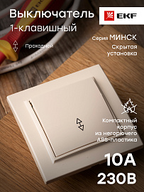 Выключатель одноклавишный Минск скрытой установки проходной 10А бежевый ERV10-025-20 EKF Выключатель одноклавишный Минск скрытой установки проходной 10А бежевый ERV10-025-20 EKF