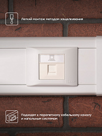 Розетка RJ45 кат. 5e, 2 модуля EKF Розетка RJ45 кат. 5e, 2 модуля EKF