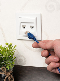 Розетка RJ45+RJ11 компьютерная+телефонная Минск скрытой установки в сборе белый ERK00-135-10 EKF Розетка RJ45+RJ11 компьютерная+телефонная Минск скрытой установки в сборе белый ERK00-135-10 EKF