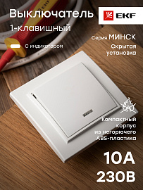 Выключатель одноклавишный Минск скрытой установки с индикацией 10А белый ERV10-121-10 EKF Выключатель одноклавишный Минск скрытой установки с индикацией 10А белый ERV10-121-10 EKF