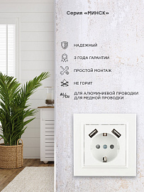 Розетка одинарная с 2 USB Минск скрытой установки с заземлением 16А+2,1А+2,1А со шторками в сборе белый ERR16-028-100-2 USB EKF Розетка одинарная с 2 USB Минск скрытой установки с заземлением 16А+2,1А+2,1А со шторками в сборе белый ERR16-028-100-2 USB EKF
