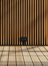 Блок розеточный 2-й QUTEO открытой установки с/з без шторок 16А 250В черный IP20 782470 Legrand Блок розеточный 2-й QUTEO открытой установки с/з без шторок 16А 250В черный IP20 782470 Legrand