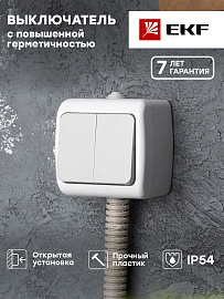 Выключатель двухклавишный Мурманск открытой установки IP54 10А серый EFV10-023-30-54 EKF PROxima Выключатель двухклавишный Мурманск открытой установки IP54 10А серый EFV10-023-30-54 EKF PROxima