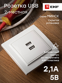 Розетка 2 USB Минск скрытой установки 2,1А+2,1А в сборе белый ERR-2 USB-100 EKF Розетка 2 USB Минск скрытой установки 2,1А+2,1А в сборе белый ERR-2 USB-100 EKF