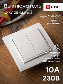 Выключатель двухклавишный Минск скрытой установки 10А белый ERV10-023-10 EKF Выключатель двухклавишный Минск скрытой установки 10А белый ERV10-023-10 EKF