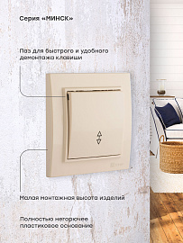 Выключатель одноклавишный Минск скрытой установки проходной 10А бежевый ERV10-025-20 EKF Выключатель одноклавишный Минск скрытой установки проходной 10А бежевый ERV10-025-20 EKF