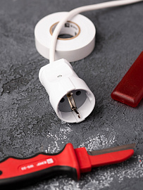 Гнездо штепсельное  с заземлением белое 16А 250В (ASG16-10)  EKF Гнездо штепсельное  с заземлением белое 16А 250В (ASG16-10)  EKF