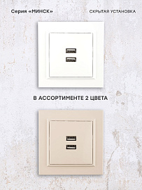 Розетка 2 USB Минск скрытой установки 2,1А+2,1А в сборе белый ERR-2 USB-100 EKF Розетка 2 USB Минск скрытой установки 2,1А+2,1А в сборе белый ERR-2 USB-100 EKF