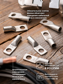 Наконечник медный луженый  ТМЛ 16-8-6 EKF PROxima Наконечник медный луженый  ТМЛ 16-8-6 EKF PROxima