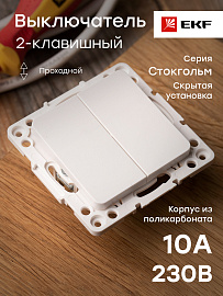 Выключатель двухклавишный Стокгольм скрытой установки 10А проходной (сх.6+6) механизм белый EYV10-027-10 EKF PROxima Выключатель двухклавишный Стокгольм скрытой установки 10А проходной (сх.6+6) механизм белый EYV10-027-10 EKF PROxima