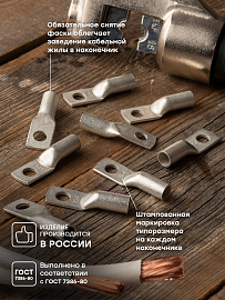 Наконечник медный луженый  ТМЛ 25-10-8 EKF PROxima Наконечник медный луженый  ТМЛ 25-10-8 EKF PROxima