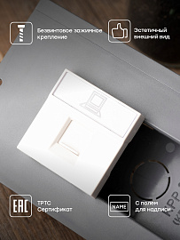 Розетка RJ45 кат. 5e, 2 модуля EKF Розетка RJ45 кат. 5e, 2 модуля EKF