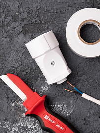 Гнездо штепсельное  без заземления белое 10А 250В (ASG10-10)  EKF Гнездо штепсельное  без заземления белое 10А 250В (ASG10-10)  EKF