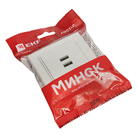 Розетка 2 USB Минск скрытой установки 2,1А+2,1А в сборе белый ERR-2 USB-100 EKF Розетка 2 USB Минск скрытой установки 2,1А+2,1А в сборе белый ERR-2 USB-100 EKF