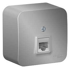 Розетка RJ11 телефонная BLANCA открытой установки с изолирующей пластиной в сборе алюминий BLNIA011003 Schneider Electric Розетка RJ11 телефонная BLANCA открытой установки с изолирующей пластиной в сборе алюминий BLNIA011003 Schneider Electric