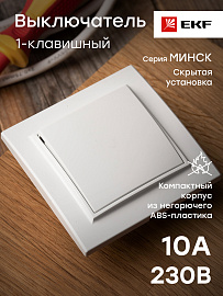 Выключатель одноклавишный Минск скрытой установки 10А белый ERV10-021-10 EKF Выключатель одноклавишный Минск скрытой установки 10А белый ERV10-021-10 EKF