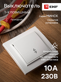 Выключатель одноклавишный Минск скрытой установки проходной 10А белый ERV10-025-10 EKF Выключатель одноклавишный Минск скрытой установки проходной 10А белый ERV10-025-10 EKF